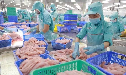 Thủy sản Việt Nam tiến sát mốc xuất khẩu kỷ lục
